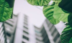 Edificios con certificación BREEAM
